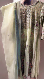 Pastel Green Hardworked Kurta ( Heavy Formal Dress )